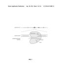 CRISPR-CAS COMPONENT SYSTEMS, METHODS AND COMPOSITIONS FOR SEQUENCE     MANIPULATION diagram and image