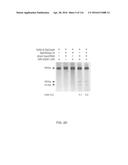 CRISPR-CAS COMPONENT SYSTEMS, METHODS AND COMPOSITIONS FOR SEQUENCE     MANIPULATION diagram and image