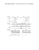 CRISPR-CAS COMPONENT SYSTEMS, METHODS AND COMPOSITIONS FOR SEQUENCE     MANIPULATION diagram and image