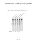 CRISPR-CAS COMPONENT SYSTEMS, METHODS AND COMPOSITIONS FOR SEQUENCE     MANIPULATION diagram and image