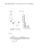 CRISPR-CAS COMPONENT SYSTEMS, METHODS AND COMPOSITIONS FOR SEQUENCE     MANIPULATION diagram and image