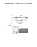 CRISPR-CAS COMPONENT SYSTEMS, METHODS AND COMPOSITIONS FOR SEQUENCE     MANIPULATION diagram and image