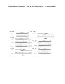 CRISPR-CAS COMPONENT SYSTEMS, METHODS AND COMPOSITIONS FOR SEQUENCE     MANIPULATION diagram and image