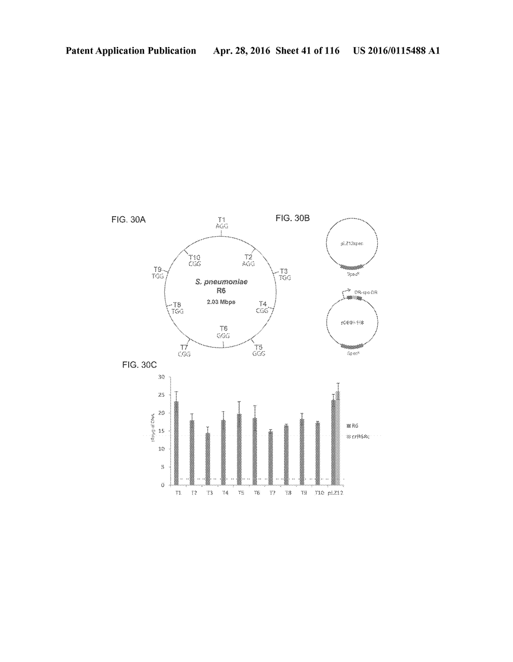 CRISPR-CAS COMPONENT SYSTEMS, METHODS AND COMPOSITIONS FOR SEQUENCE     MANIPULATION - diagram, schematic, and image 42