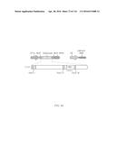 CRISPR-CAS COMPONENT SYSTEMS, METHODS AND COMPOSITIONS FOR SEQUENCE     MANIPULATION diagram and image