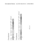 CRISPR-CAS COMPONENT SYSTEMS, METHODS AND COMPOSITIONS FOR SEQUENCE     MANIPULATION diagram and image