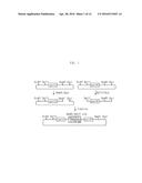 SHUTTLE VECTOR FOR CORYNEBACTERIUM OR E. COLI diagram and image