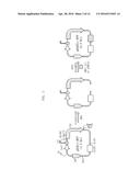 SHUTTLE VECTOR FOR CORYNEBACTERIUM OR E. COLI diagram and image