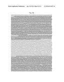 SHUTTLE VECTOR FOR CORYNEBACTERIUM OR E. COLI diagram and image