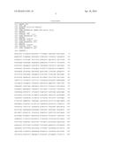 SHUTTLE VECTOR FOR CORYNEBACTERIUM OR E. COLI diagram and image