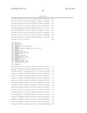 SHUTTLE VECTOR FOR CORYNEBACTERIUM OR E. COLI diagram and image