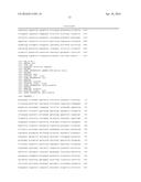 SHUTTLE VECTOR FOR CORYNEBACTERIUM OR E. COLI diagram and image