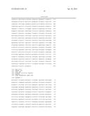 SHUTTLE VECTOR FOR CORYNEBACTERIUM OR E. COLI diagram and image