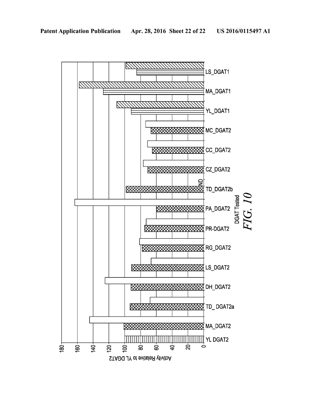 DGAT GENES FROM OLEAGINOUS ORGANISMS FOR INCREASED SEED STORAGE LIPID     PRODUCTION AND ALTERED FATTY ACID PROFILES IN OILSEED PLANTS - diagram, schematic, and image 23