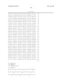 MATERIALS AND METHODS FOR CONTROLLING BUNDLE SHEATH CELL FATE AND FUNCTION     IN PLANTS diagram and image