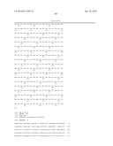 MATERIALS AND METHODS FOR CONTROLLING BUNDLE SHEATH CELL FATE AND FUNCTION     IN PLANTS diagram and image