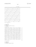 MATERIALS AND METHODS FOR CONTROLLING BUNDLE SHEATH CELL FATE AND FUNCTION     IN PLANTS diagram and image