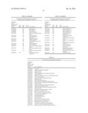 MATERIALS AND METHODS FOR CONTROLLING BUNDLE SHEATH CELL FATE AND FUNCTION     IN PLANTS diagram and image