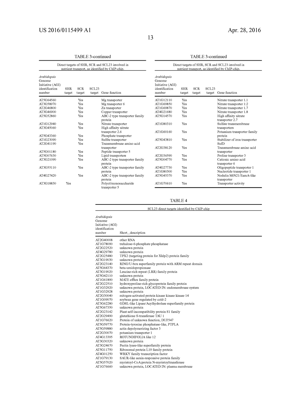 MATERIALS AND METHODS FOR CONTROLLING BUNDLE SHEATH CELL FATE AND FUNCTION     IN PLANTS - diagram, schematic, and image 24