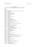 MATERIALS AND METHODS FOR CONTROLLING BUNDLE SHEATH CELL FATE AND FUNCTION     IN PLANTS diagram and image