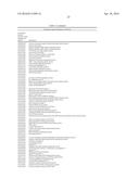 MATERIALS AND METHODS FOR CONTROLLING BUNDLE SHEATH CELL FATE AND FUNCTION     IN PLANTS diagram and image