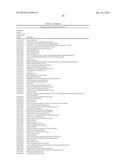 MATERIALS AND METHODS FOR CONTROLLING BUNDLE SHEATH CELL FATE AND FUNCTION     IN PLANTS diagram and image