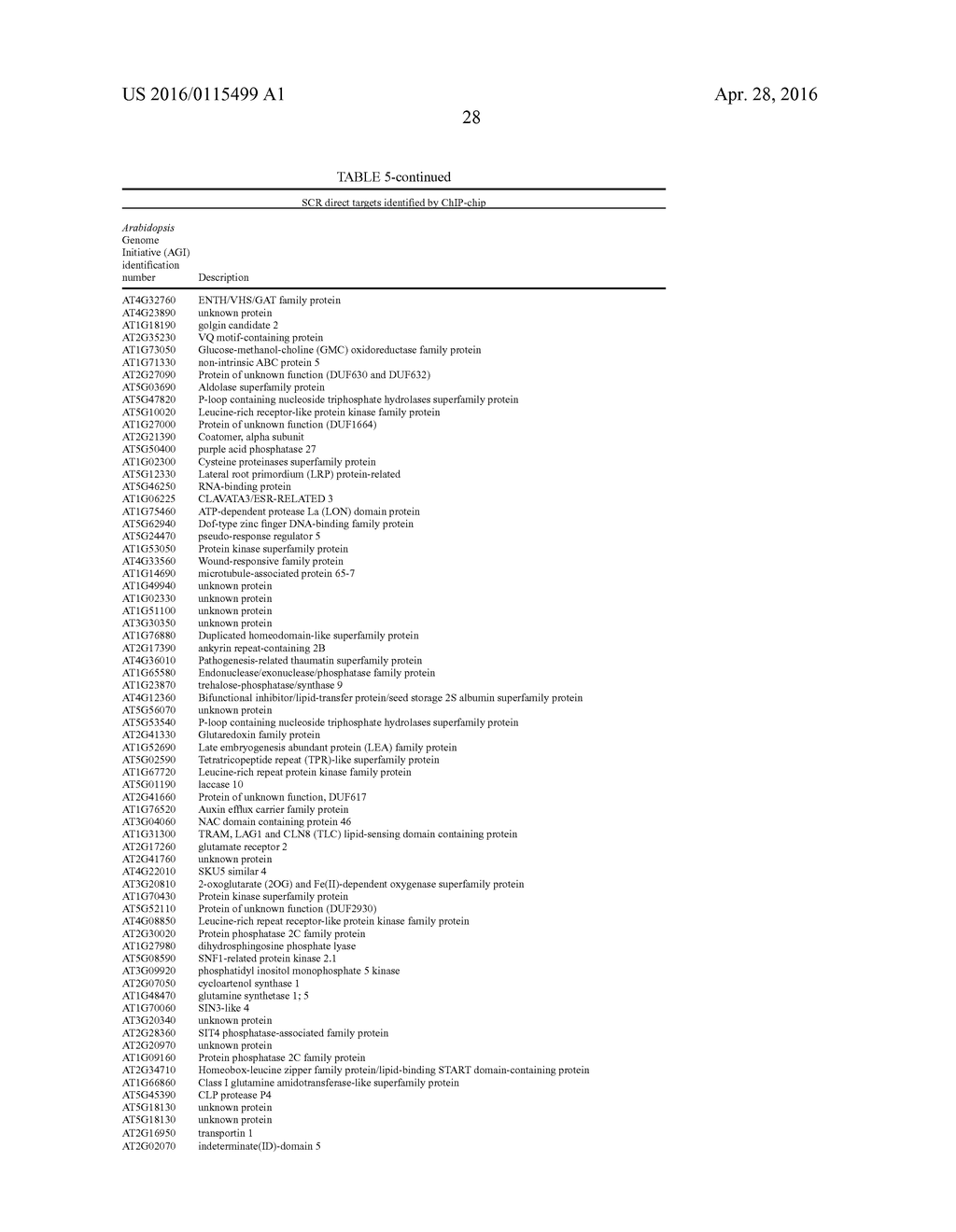 MATERIALS AND METHODS FOR CONTROLLING BUNDLE SHEATH CELL FATE AND FUNCTION     IN PLANTS - diagram, schematic, and image 39