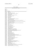 MATERIALS AND METHODS FOR CONTROLLING BUNDLE SHEATH CELL FATE AND FUNCTION     IN PLANTS diagram and image