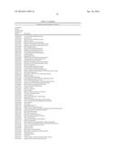 MATERIALS AND METHODS FOR CONTROLLING BUNDLE SHEATH CELL FATE AND FUNCTION     IN PLANTS diagram and image