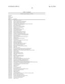 MATERIALS AND METHODS FOR CONTROLLING BUNDLE SHEATH CELL FATE AND FUNCTION     IN PLANTS diagram and image