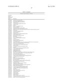 MATERIALS AND METHODS FOR CONTROLLING BUNDLE SHEATH CELL FATE AND FUNCTION     IN PLANTS diagram and image