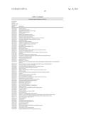 MATERIALS AND METHODS FOR CONTROLLING BUNDLE SHEATH CELL FATE AND FUNCTION     IN PLANTS diagram and image