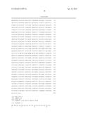 MATERIALS AND METHODS FOR CONTROLLING BUNDLE SHEATH CELL FATE AND FUNCTION     IN PLANTS diagram and image