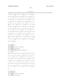 TRICHODERMA REESEI HOST CELLS EXPRESSING A GLUCOAMYLASE FROM ASPERGILLUS     FUMIGATUS AND METHODS OF USE THEREOF diagram and image