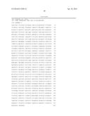 TRICHODERMA REESEI HOST CELLS EXPRESSING A GLUCOAMYLASE FROM ASPERGILLUS     FUMIGATUS AND METHODS OF USE THEREOF diagram and image