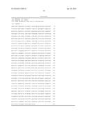 TRICHODERMA REESEI HOST CELLS EXPRESSING A GLUCOAMYLASE FROM ASPERGILLUS     FUMIGATUS AND METHODS OF USE THEREOF diagram and image