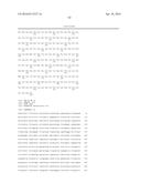 COMPOSITIONS, KITS, AND RELATED METHODS FOR DETECTING AND/OR MONITORING     SHIGA TOXIN PRODUCING ESCHERICHIA COLI diagram and image