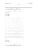 COMPOSITIONS, KITS, AND RELATED METHODS FOR DETECTING AND/OR MONITORING     SHIGA TOXIN PRODUCING ESCHERICHIA COLI diagram and image