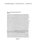 COMPOSITIONS, KITS, AND RELATED METHODS FOR DETECTING AND/OR MONITORING     SHIGA TOXIN PRODUCING ESCHERICHIA COLI diagram and image