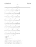 COMPOSITIONS, KITS, AND RELATED METHODS FOR DETECTING AND/OR MONITORING     SHIGA TOXIN PRODUCING ESCHERICHIA COLI diagram and image