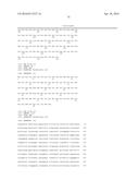 COMPOSITIONS, KITS, AND RELATED METHODS FOR DETECTING AND/OR MONITORING     SHIGA TOXIN PRODUCING ESCHERICHIA COLI diagram and image