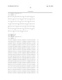 COMPOSITIONS, KITS, AND RELATED METHODS FOR DETECTING AND/OR MONITORING     SHIGA TOXIN PRODUCING ESCHERICHIA COLI diagram and image