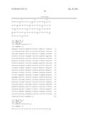 COMPOSITIONS, KITS, AND RELATED METHODS FOR DETECTING AND/OR MONITORING     SHIGA TOXIN PRODUCING ESCHERICHIA COLI diagram and image