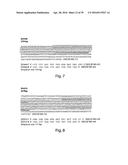 COMPOSITIONS, KITS, AND RELATED METHODS FOR DETECTING AND/OR MONITORING     SHIGA TOXIN PRODUCING ESCHERICHIA COLI diagram and image