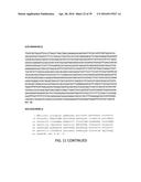 COMPOSITIONS, KITS, AND RELATED METHODS FOR DETECTING AND/OR MONITORING     SHIGA TOXIN PRODUCING ESCHERICHIA COLI diagram and image