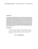 COMPOSITIONS, KITS, AND RELATED METHODS FOR DETECTING AND/OR MONITORING     SHIGA TOXIN PRODUCING ESCHERICHIA COLI diagram and image