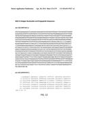 COMPOSITIONS, KITS, AND RELATED METHODS FOR DETECTING AND/OR MONITORING     SHIGA TOXIN PRODUCING ESCHERICHIA COLI diagram and image