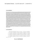 COMPOSITIONS, KITS, AND RELATED METHODS FOR DETECTING AND/OR MONITORING     SHIGA TOXIN PRODUCING ESCHERICHIA COLI diagram and image