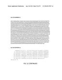 COMPOSITIONS, KITS, AND RELATED METHODS FOR DETECTING AND/OR MONITORING     SHIGA TOXIN PRODUCING ESCHERICHIA COLI diagram and image