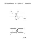 EFFICIENT OPTICAL ANALYSIS OF POLYMERS USING ARRAYS OF NANOSTRUCTURES diagram and image